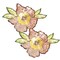 Rose Sequin Flower Iron On Patch Applique for Jackets Bags and DIY Crafts